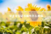 学士学位证书编号怎么查询（大学本科毕业证和学位证有多重要）