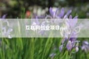 互联网创业项目ppt？网络创业选择什么项目呢？