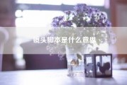 镜头脚本是什么意思（分镜头脚本也叫做什么东西）