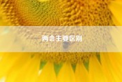 两会主要区别（什么是两会）