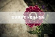 窦骁女朋友何超莲何超琼（如何看待何超莲和窦骁正式公开恋情）