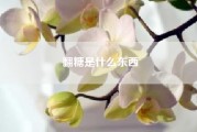 翻糖是什么东西（翻糖好学吗）