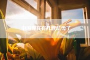 中国现在有几艘航母了；现在中国有两艘航母，你觉得这够用吗？为什么？