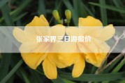 张家界三日游报价（三天如何游玩张家界张家界三日游有哪些必玩景点）