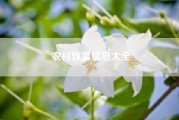 农村致富信息大全(现在农村有什么致富良方？)