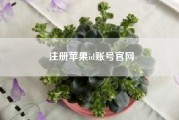 注册苹果id账号官网（怎么注册苹果id账号）