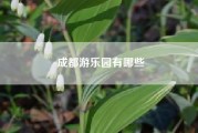 成都游乐园有哪些（成都有那些游乐园）