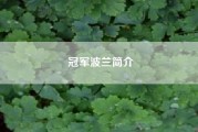 冠军波兰简介（波兰人口稀少，但军备水平不差，那么波兰的大学生是如何进行军训的呢）