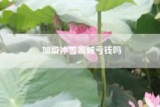 加盟冰雪蜜城亏钱吗!蜜雪冰城2021官方加盟收费标准是什么？蜜雪冰城加盟费多少钱?