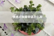 快递点加盟申请怎么弄（合伙加盟快递）