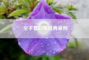 空手套白狼经典案例（没文化做什么生意挣钱）