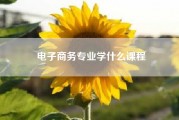 电子商务专业学什么课程（电子商务行业主要学什么专业）