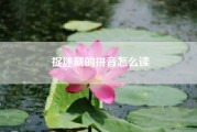 捉迷藏的拼音怎么读（捉迷藏是“藏迷克儿＂还是”藏蒙个儿“）