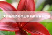 大便是黑色的咋回事 肠胃没有不舒服（拉屎黑色原因）