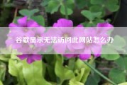 谷歌显示无法访问此网站怎么办（网页无法访问该怎么办）