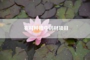 农村种植中药材项目（目前的农村种植什么利润高，市场需求量大？）