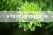 白马西风塞上杏花烟雨江南全诗（这一句“杏花烟雨江南”的出处）