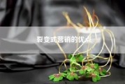 裂变式营销的优点？公司为什么要做网络营销推广? 互联网传媒公司都是怎么做的？