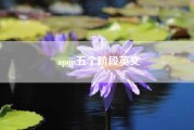 apqp五个阶段英文（apqp是什么意思）