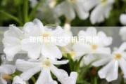 如何破解学校机房网络(怎么做网络推广？？？？)