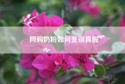 网购奶粉如何鉴别真假（网购进口奶粉安全吗？有在行的吗）