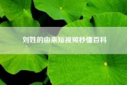 刘姓的由来短视频秒懂百科（刘姓来源）