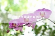 网络创业项目有哪些？请问互联网创业做什么项目比较好？