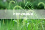 企业游学横幅标语?企业游学项目可以个性化定制吗?