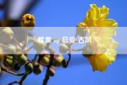 耽美 np 总受 古风（求穿越综漫bl 总受文np完结小说）