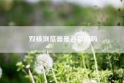 双核浏览器是谷歌的吗、老电脑用什么浏览器?