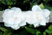 歌曲推广有什么优势？推荐几首好听的英文歌曲（舒缓一点的）？