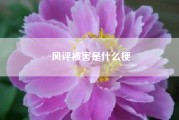 风评被害是什么梗（闽南语害是什么意思）