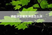 钥匙拼音要死拼音怎么拼（钥匙的书面语与口语怎么读）