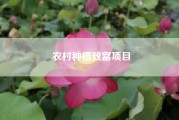 农村种植致富项目（在农村可以包地创业吗？种植什么能赚钱？）