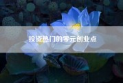 投资热门的零元创业点?哪种创业最稳而且投资少？