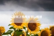 如何上传照片到qq相册(怎样上传照片)