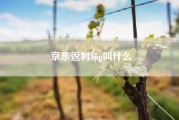 京东返利app叫什么?有没有一天可以赚100块钱的手机软件?