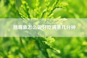 翘嘴鱼怎么做好吃清蒸几分钟（油焖风干翘嘴鱼的家常做法怎么做好吃）