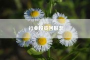 行业投资回报率（当下有哪些创业小项目值得推荐）