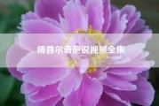 傅首尔奇葩说视频全集（暗夜流光的资料介绍）