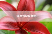 演员刘晓庆简历（孤儿院 电视剧）