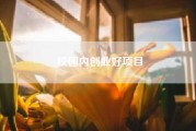 校园内创业好项目?大学生创业有什么好项目?