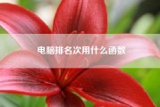 电脑排名次用什么函数（那个电脑品牌好）