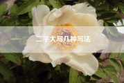 二字大写几种写法（大写的二字是怎么写的）