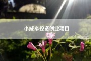 小成本投资创业项目~2020年有什么好的创业项目