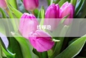 线程池(在什么情况下要用到多线程)