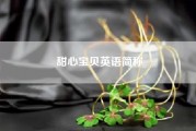 甜心宝贝英语简称（甜心宝贝用英语怎样写）