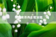 全国熏蒸养生馆加盟 加盟艾灸养生馆哪家好，推荐一个比较可靠的品牌吧?