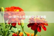 2021做什么生意投资小利润高?什么生意风险小，利润大?