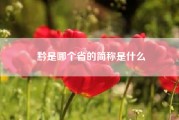 黔是哪个省的简称是什么（渝鄂湘黔分别是哪几个省的简称）